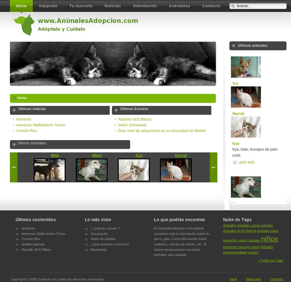Web corporativa Joomla animales adopcion