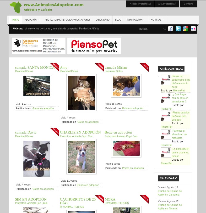 animalesadopcion-web-joomla-asociacion