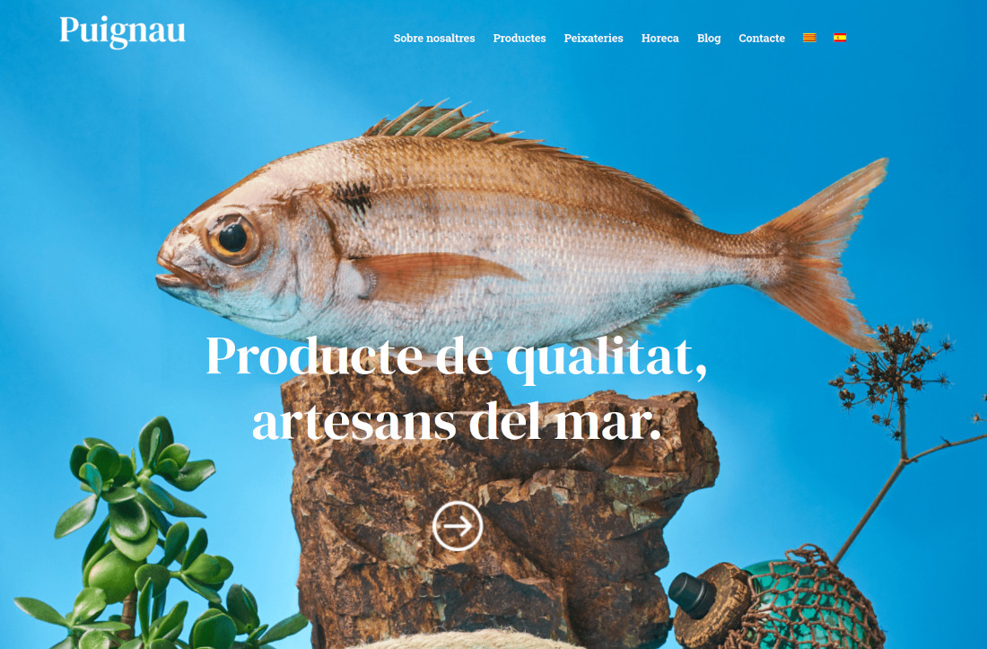 web wordpress peixospuignau